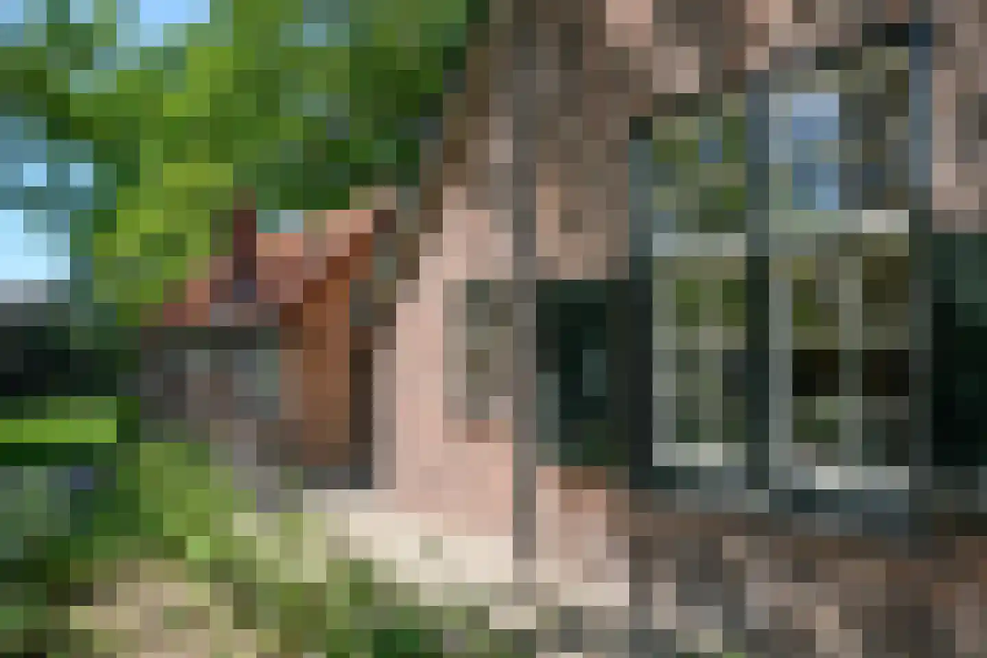 Zutphenseweg 24 Gorssel thumbnail 37