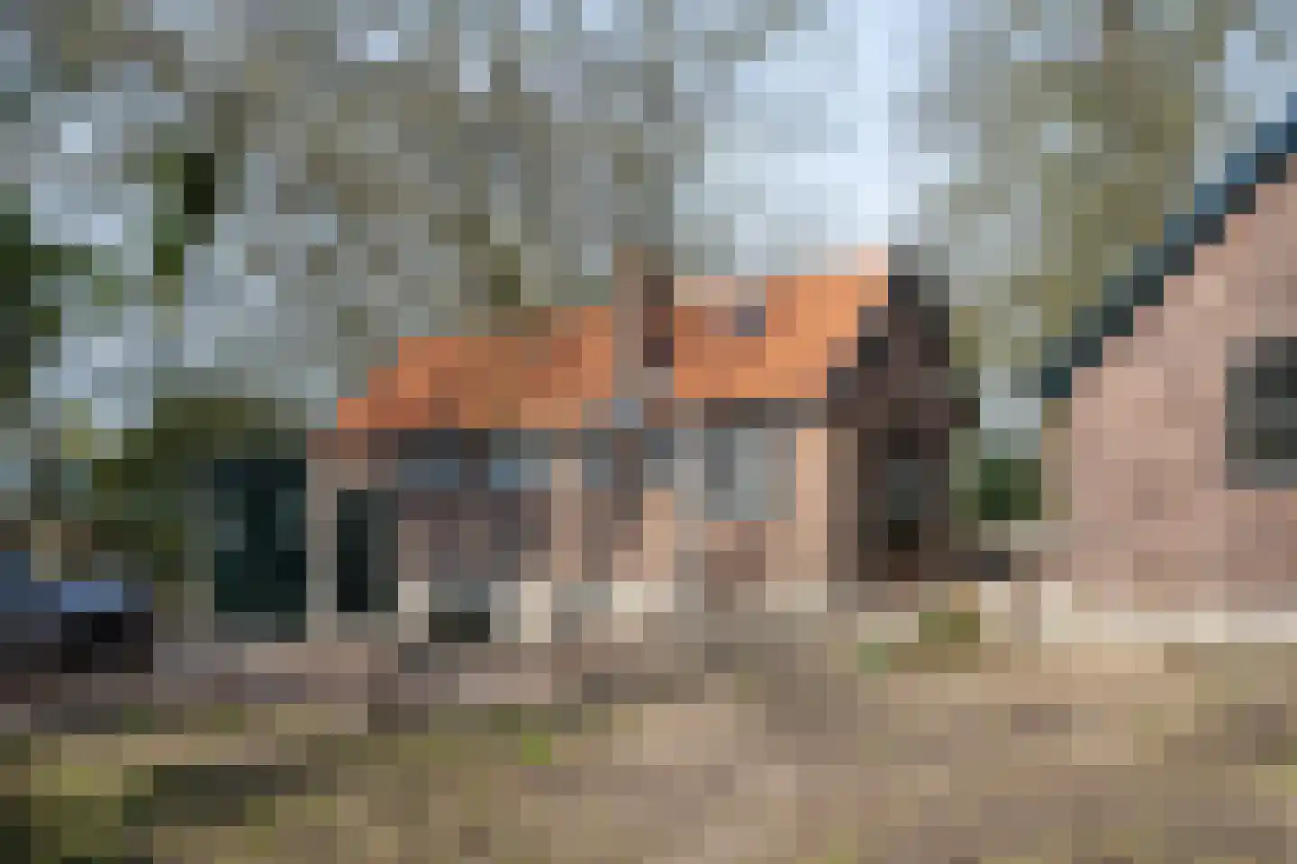 Zutphenseweg 24 Gorssel thumbnail 37