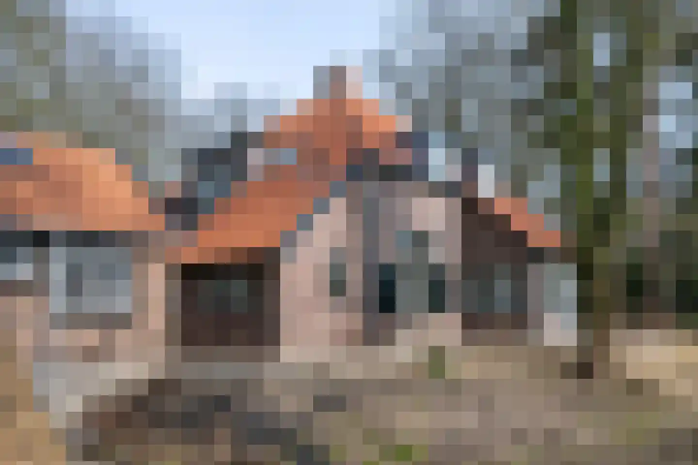 Zutphenseweg 24 Gorssel thumbnail 40