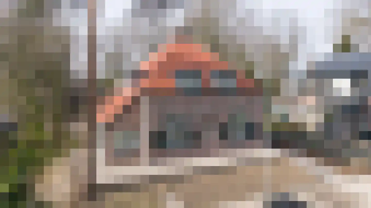 Zutphenseweg 24 Gorssel thumbnail 47