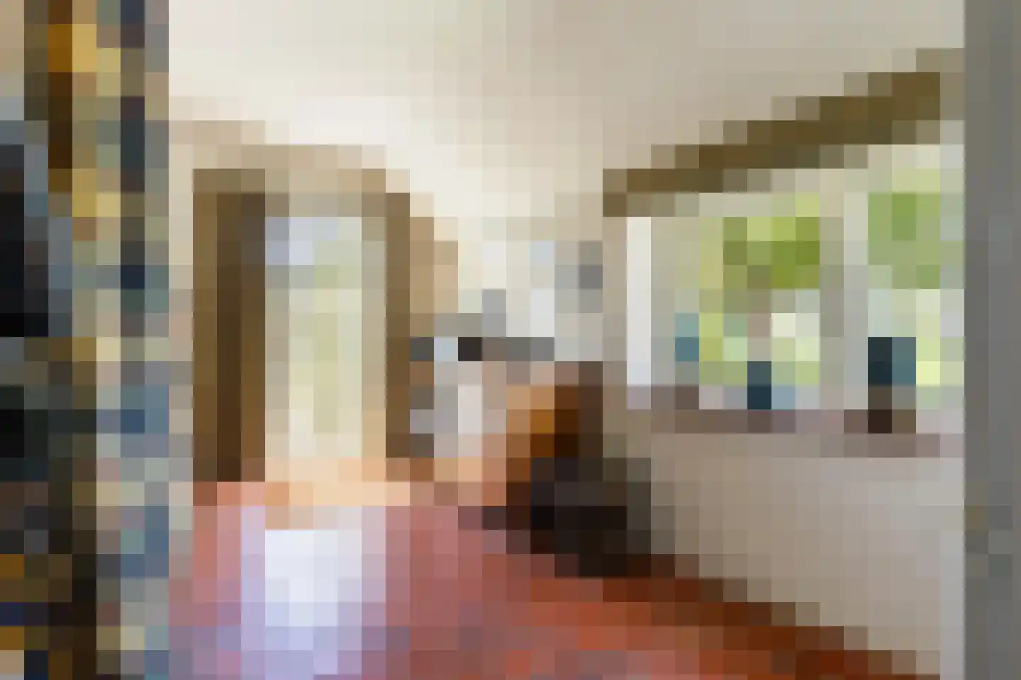 Zutphenseweg 26 Klarenbeek thumbnail 15