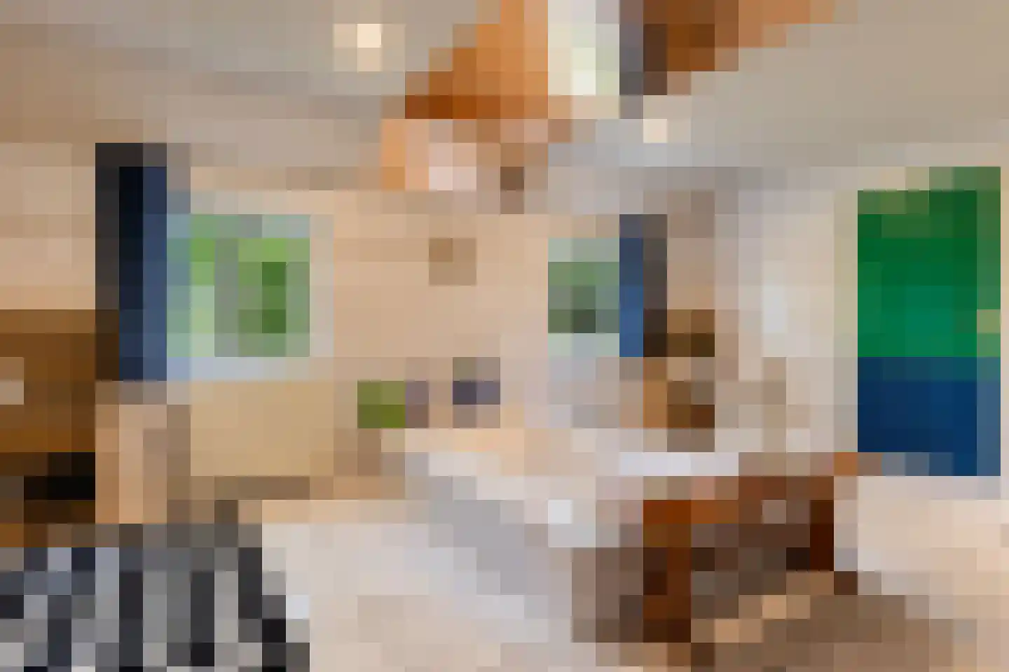 Zutphenseweg 26 Klarenbeek thumbnail 16