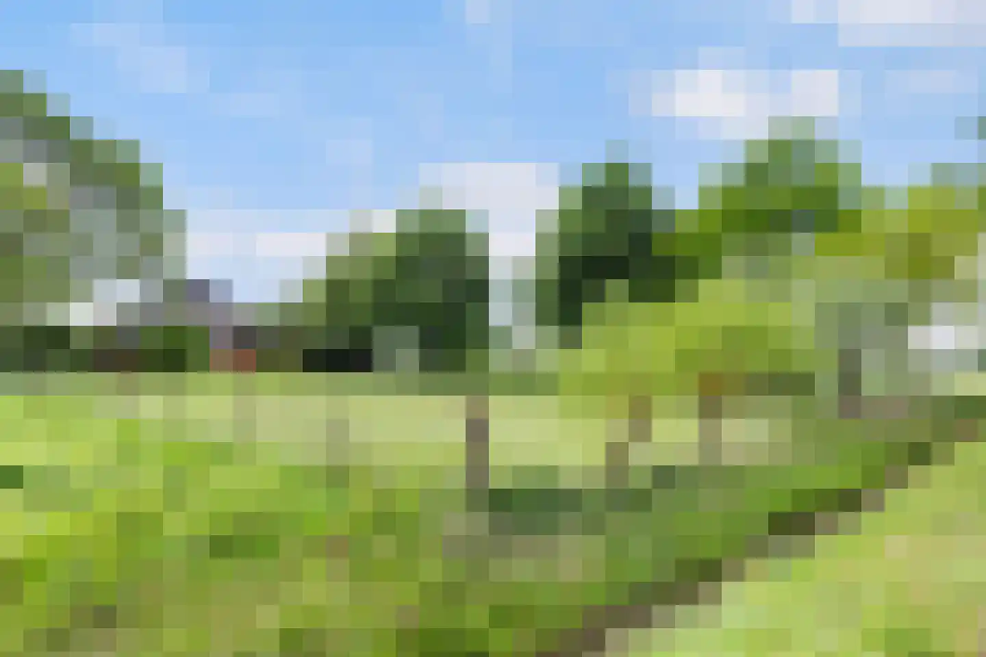 Zutphenseweg 26 Klarenbeek thumbnail 41