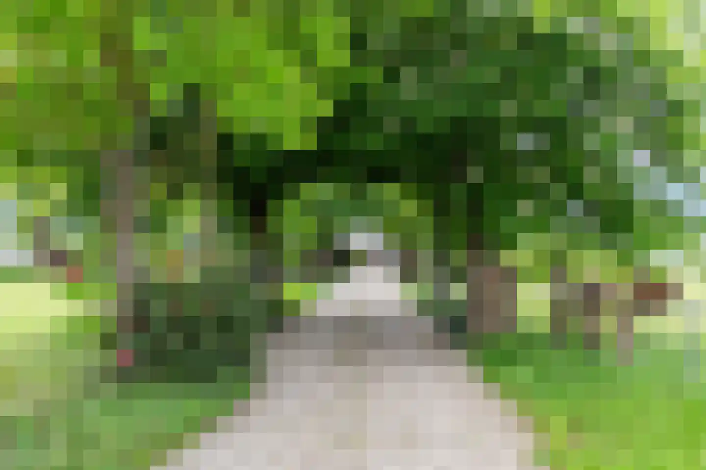 Zutphenseweg 26 Klarenbeek thumbnail 43