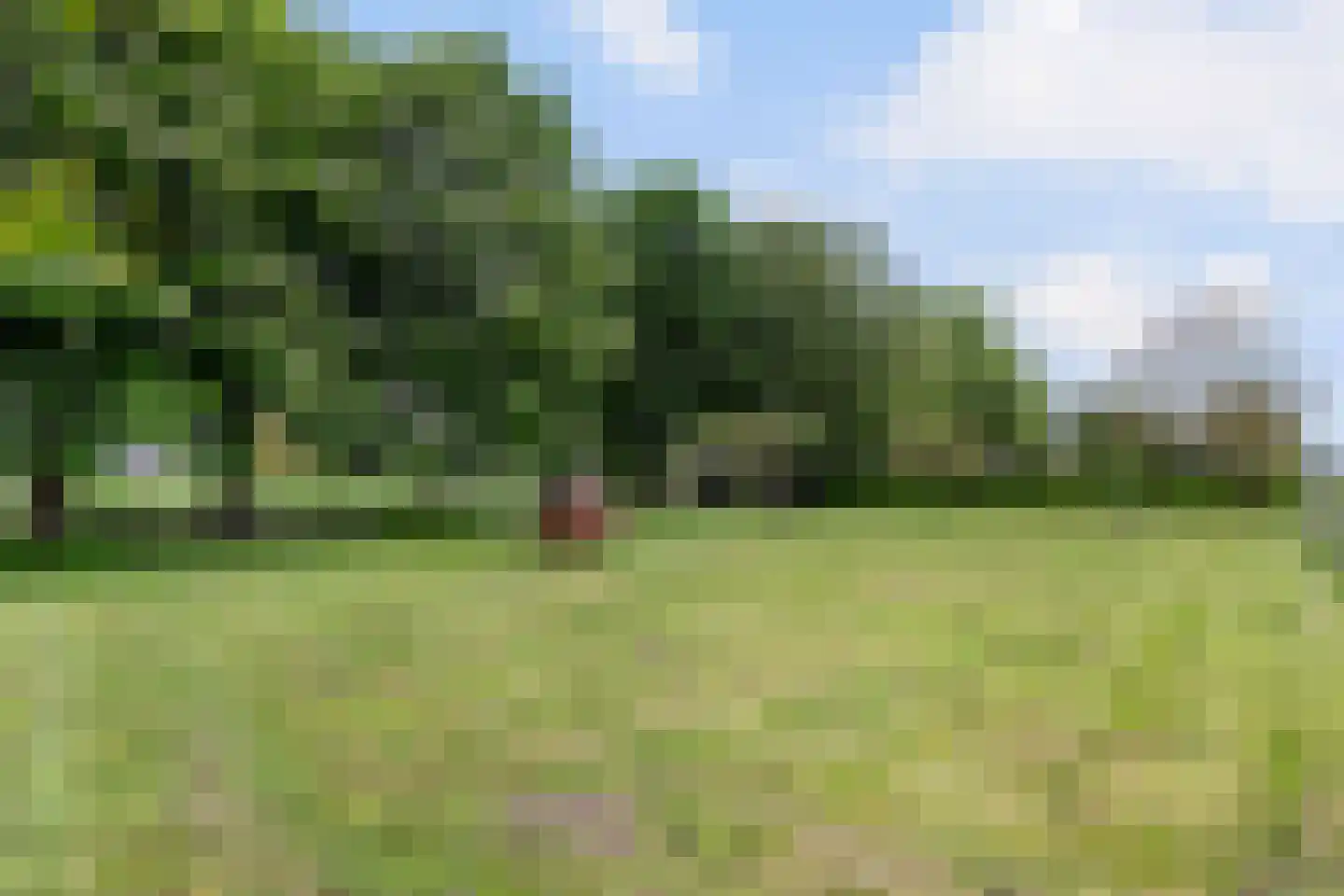 Zutphenseweg 26 Klarenbeek thumbnail 44