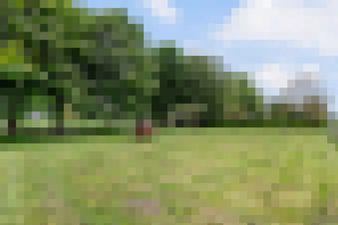Zutphenseweg 26 Klarenbeek thumbnail 45