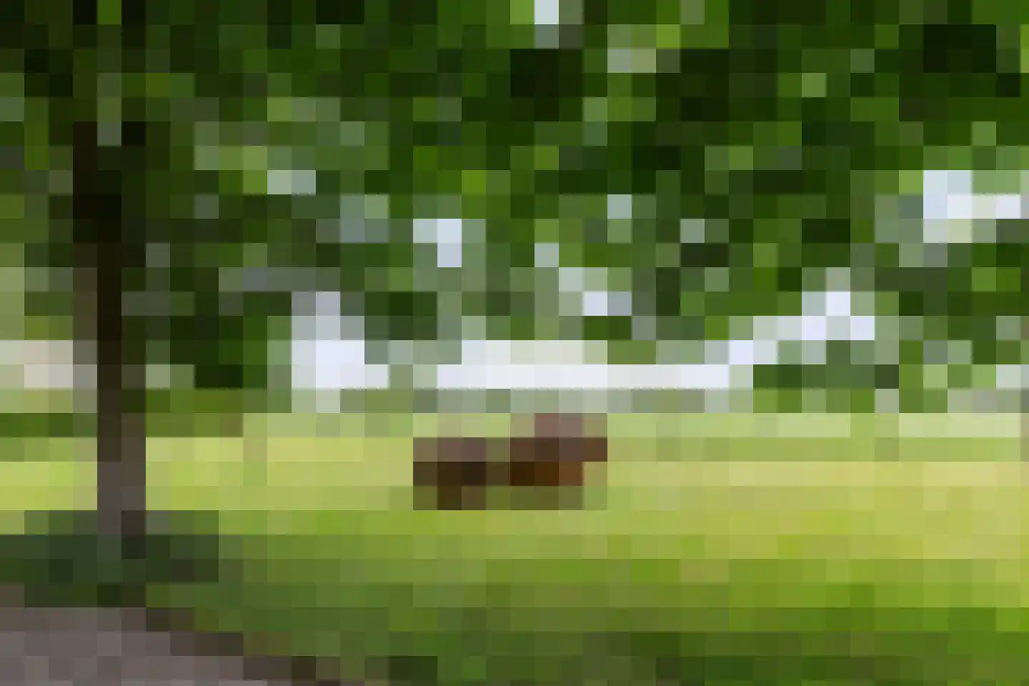 Zutphenseweg 26 Klarenbeek thumbnail 46