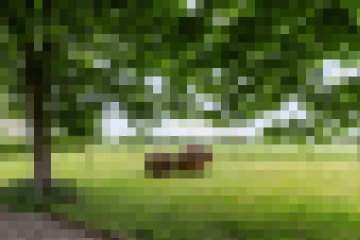 Zutphenseweg 26 Klarenbeek thumbnail 47