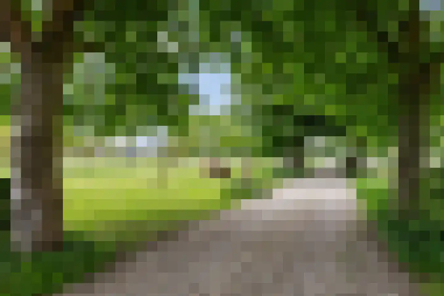 Zutphenseweg 26 Klarenbeek thumbnail 48