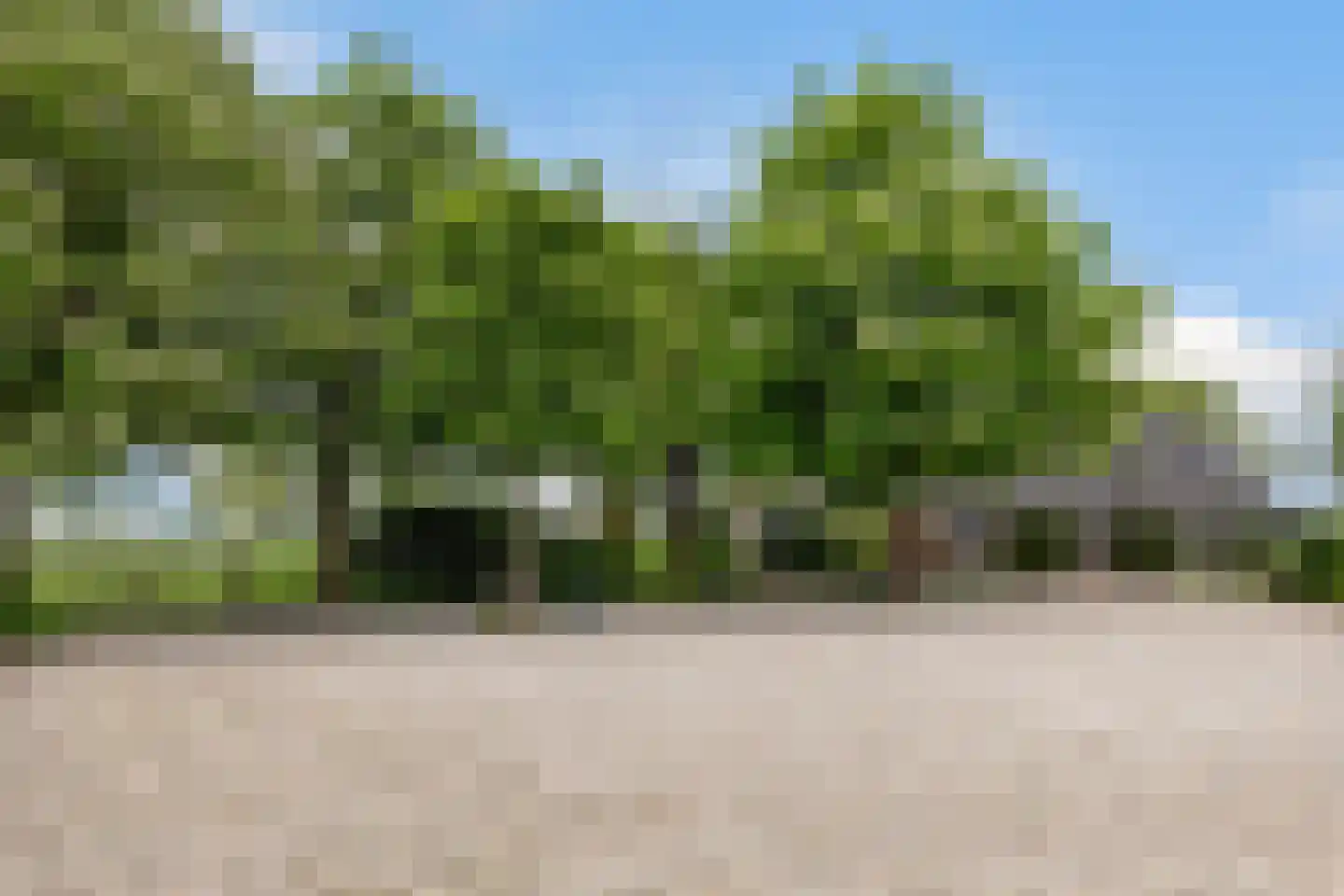 Zutphenseweg 26 Klarenbeek thumbnail 49