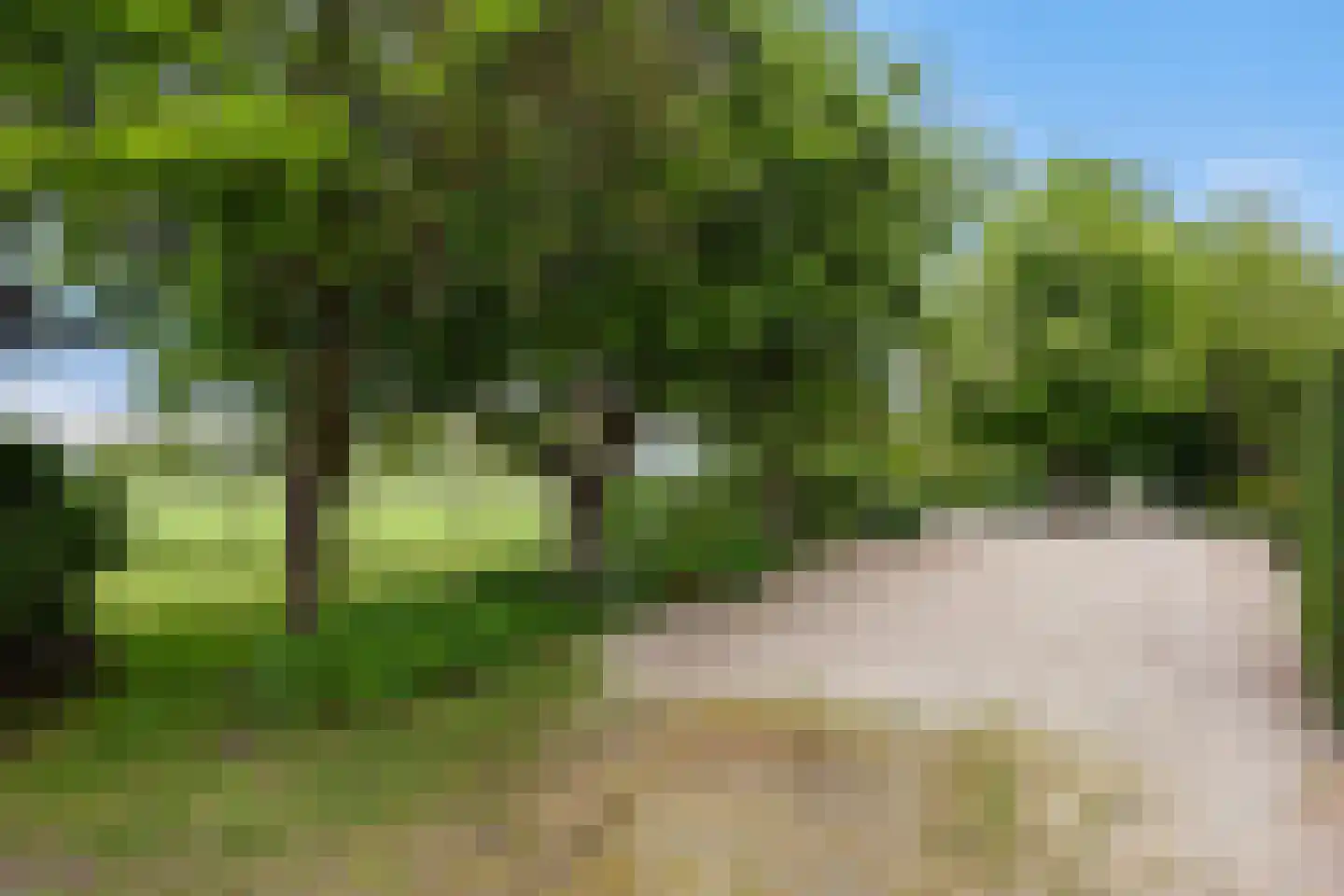 Zutphenseweg 26 Klarenbeek thumbnail 50