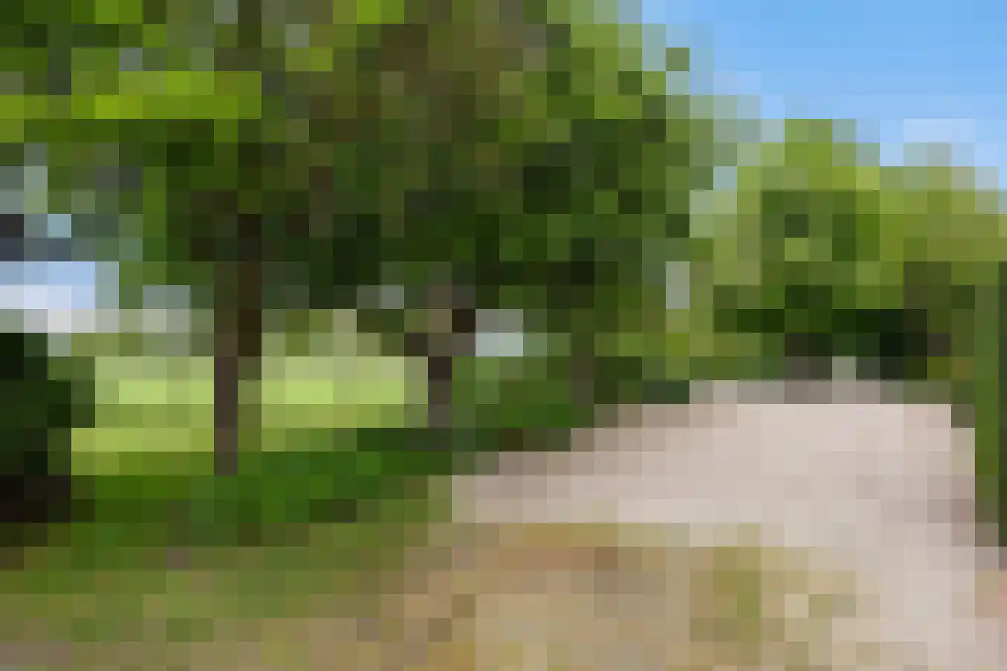 Zutphenseweg 26 Klarenbeek thumbnail 51