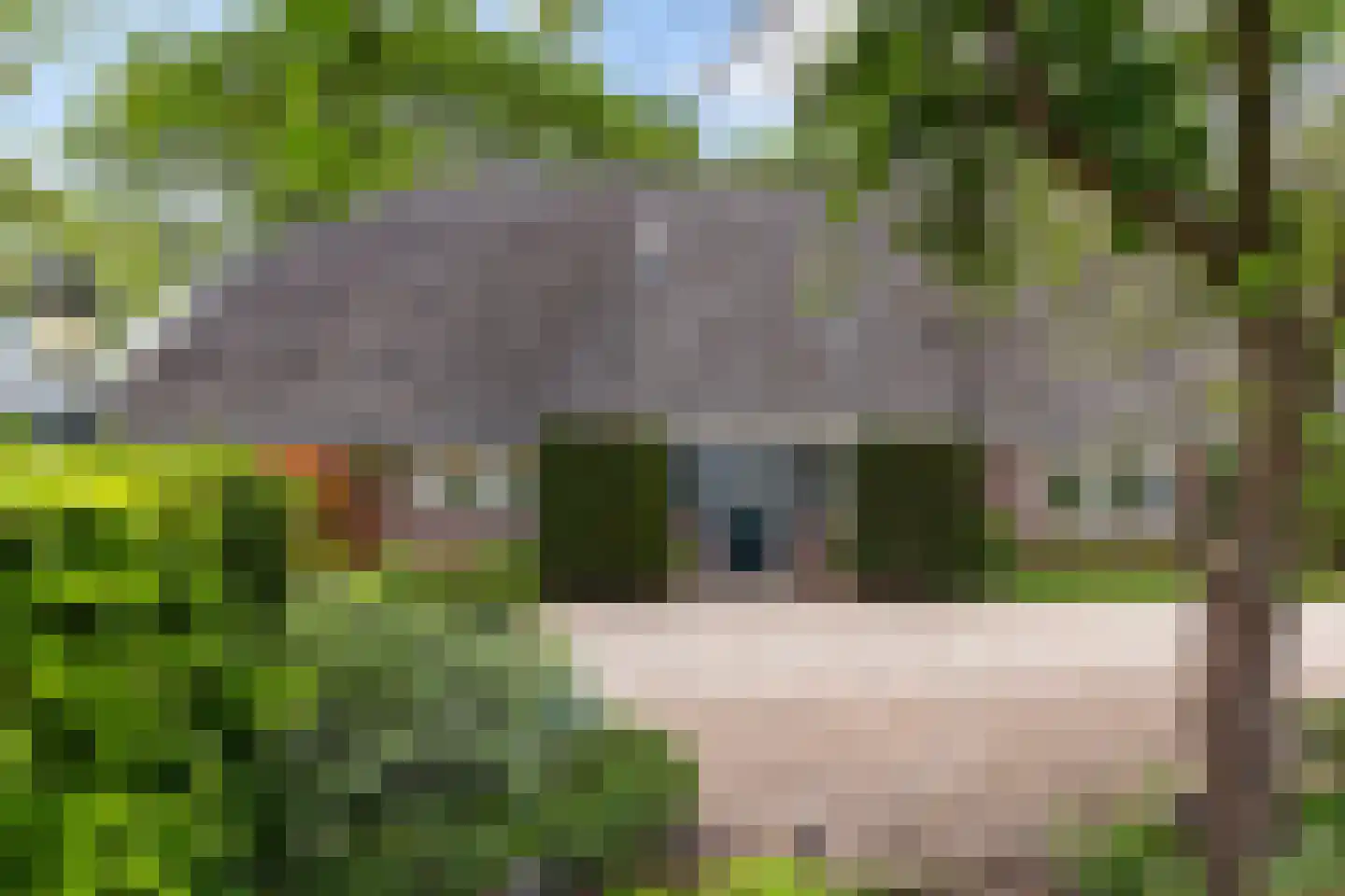 Zutphenseweg 26 Klarenbeek thumbnail 51
