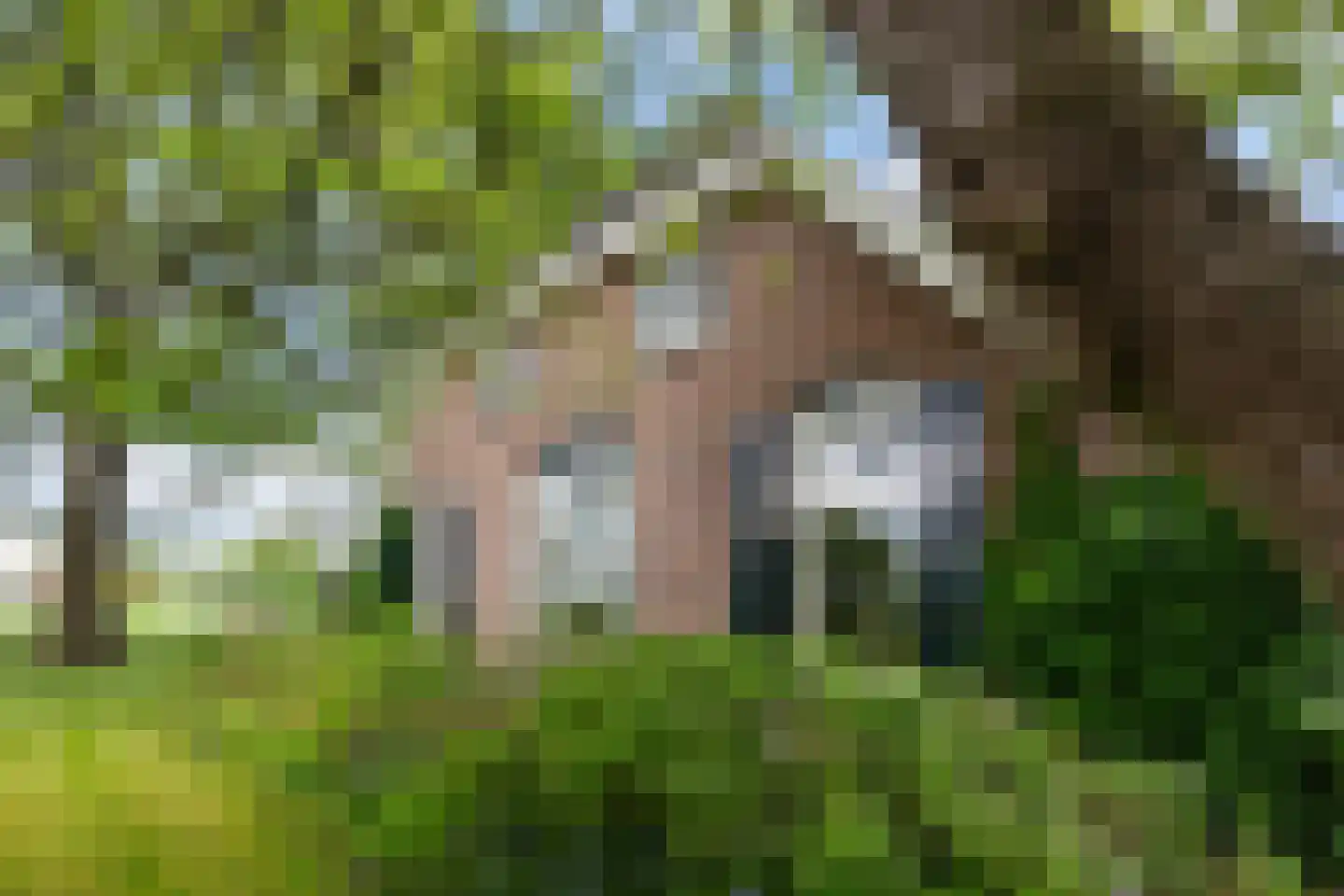 Zutphenseweg 26 Klarenbeek thumbnail 52