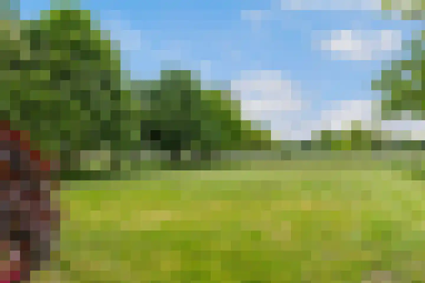 Zutphenseweg 26 Klarenbeek thumbnail 53