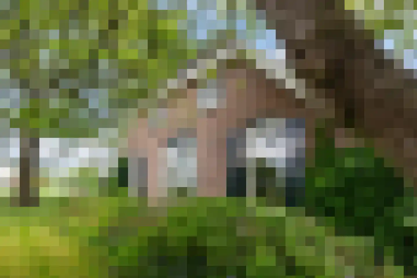 Zutphenseweg 26 Klarenbeek thumbnail 53