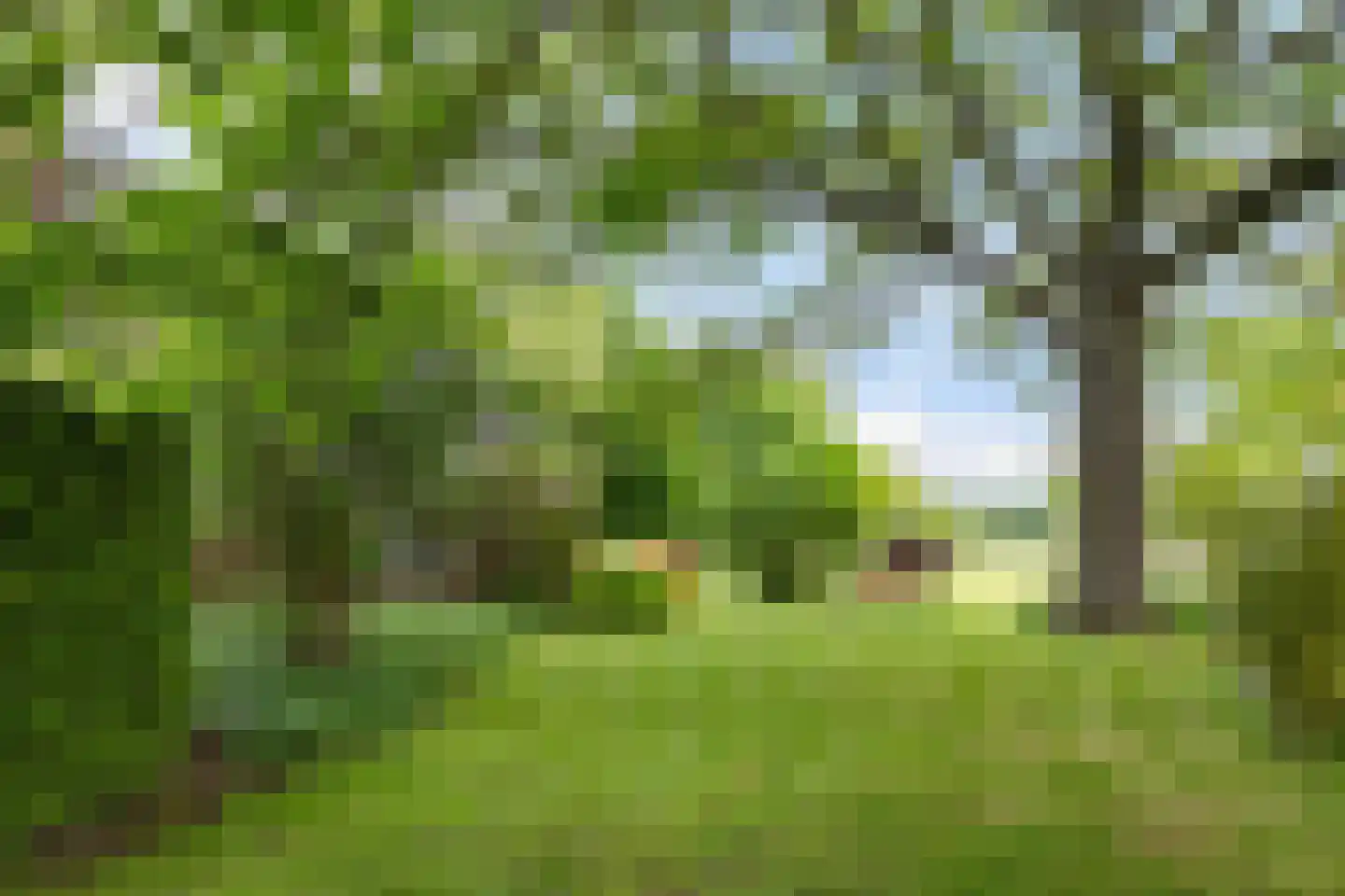 Zutphenseweg 26 Klarenbeek thumbnail 55