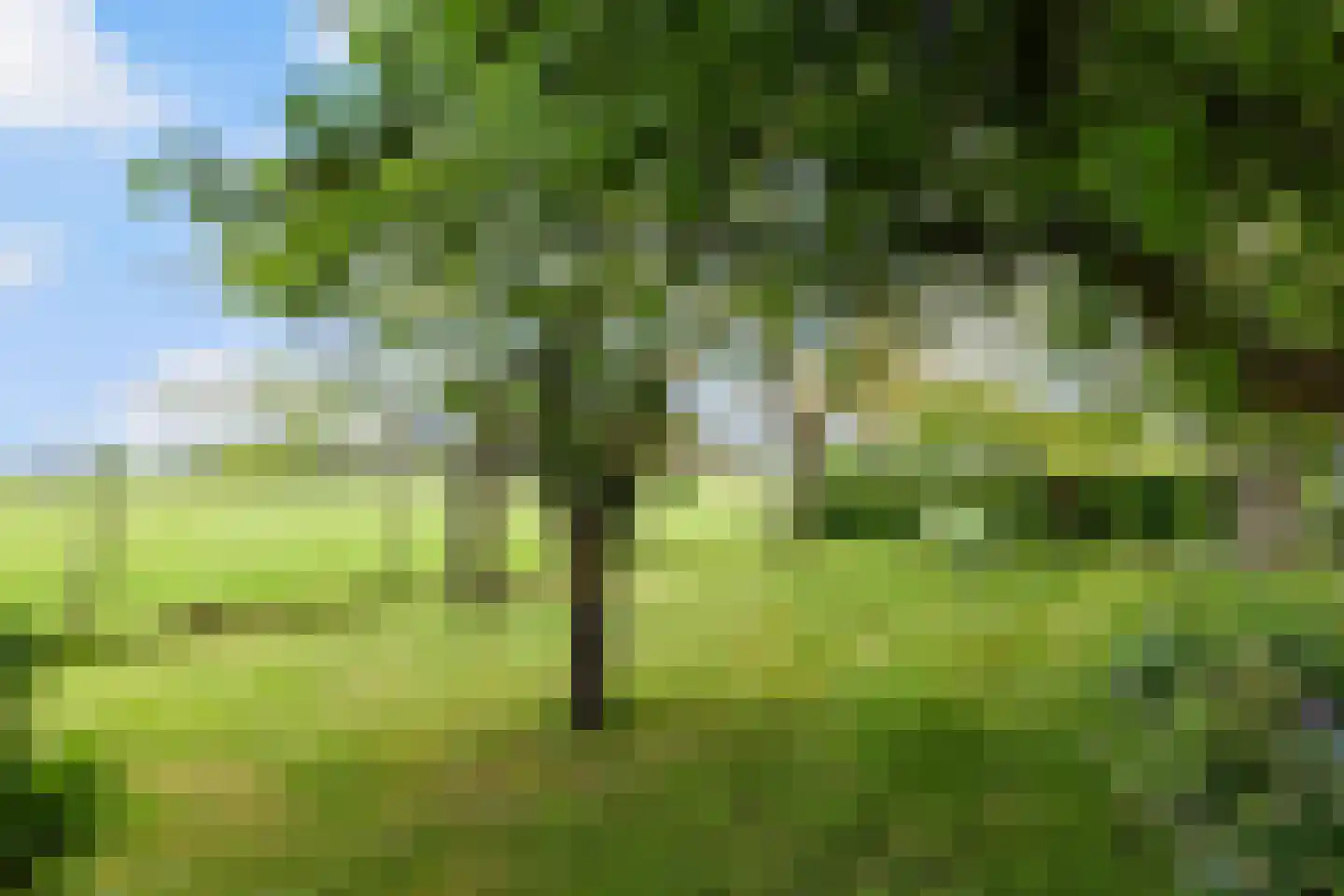 Zutphenseweg 26 Klarenbeek thumbnail 56