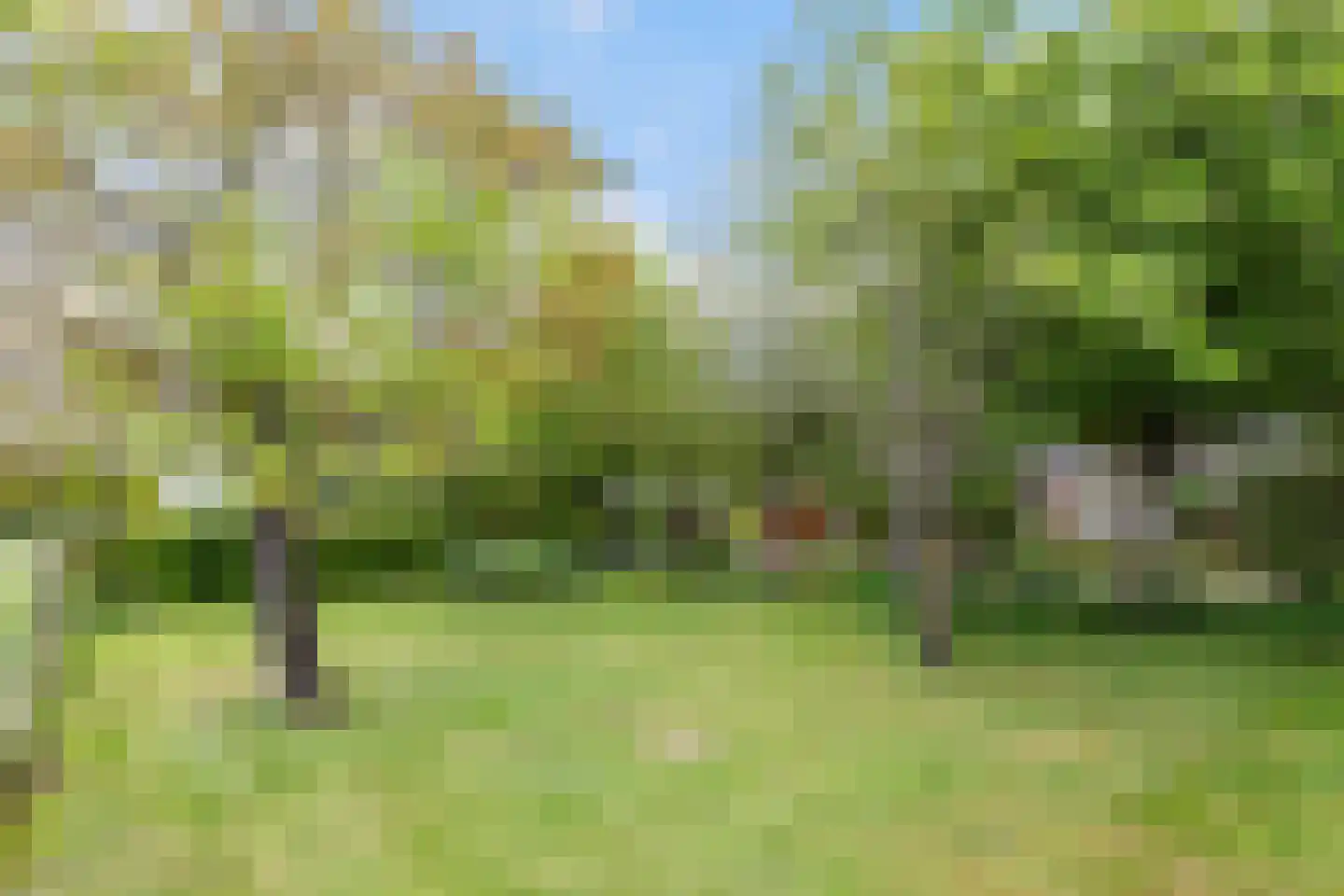 Zutphenseweg 26 Klarenbeek thumbnail 57