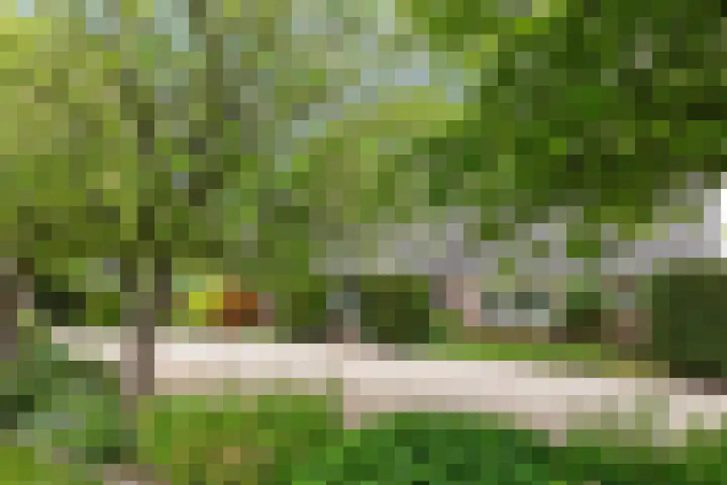 Zutphenseweg 26 Klarenbeek thumbnail 58