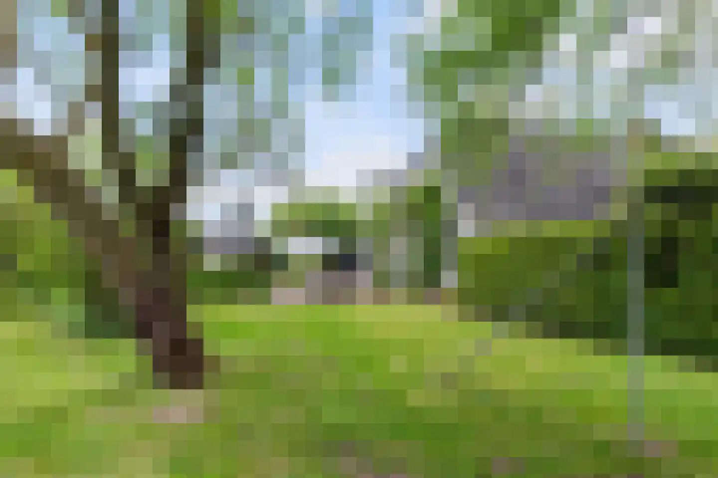 Zutphenseweg 26 Klarenbeek thumbnail 61