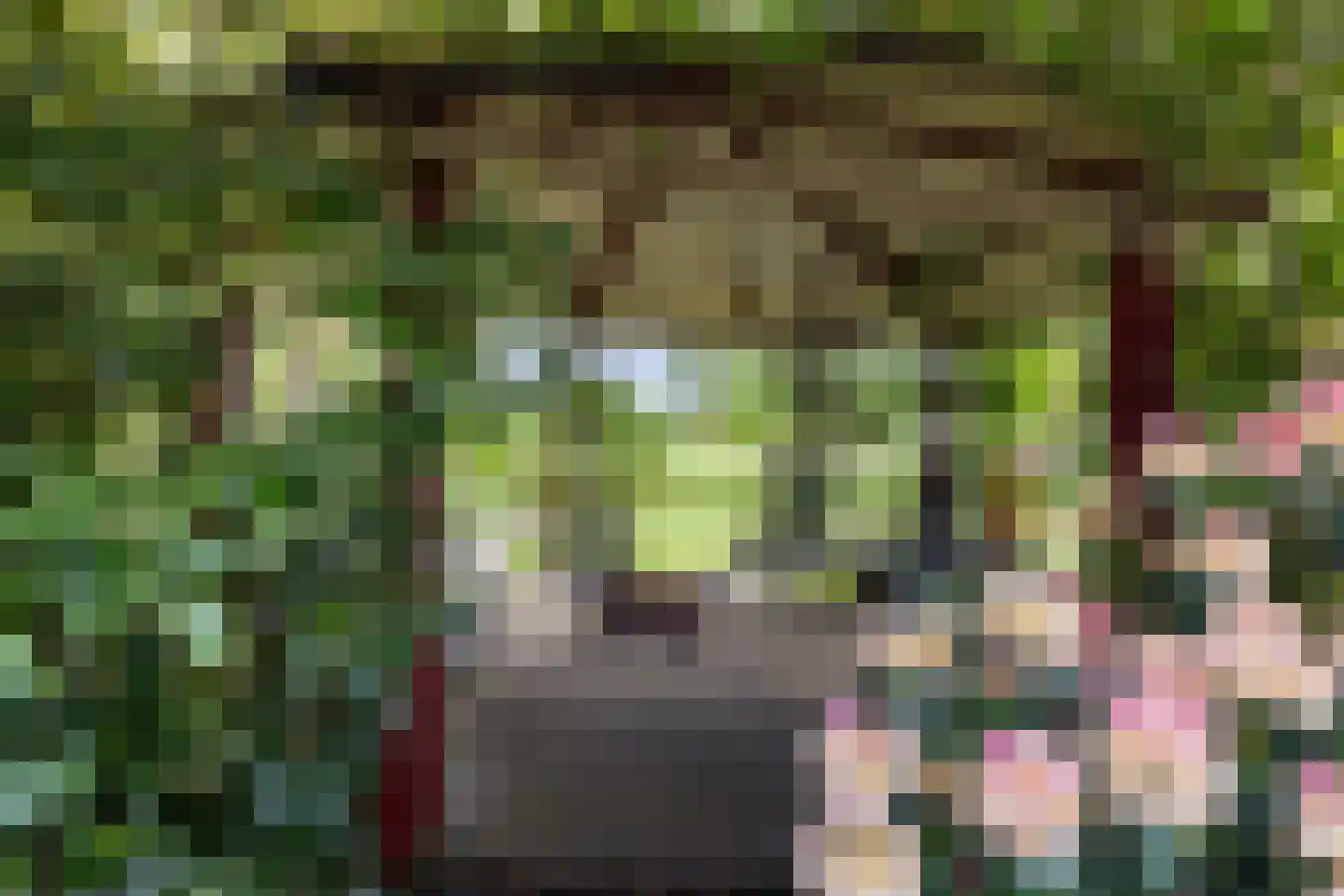 Zutphenseweg 26 Klarenbeek thumbnail 63