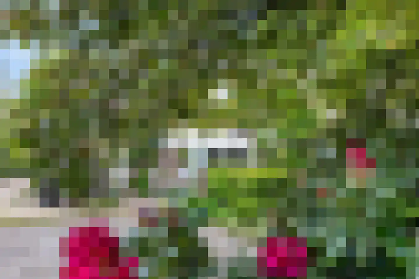 Zutphenseweg 26 Klarenbeek thumbnail 64