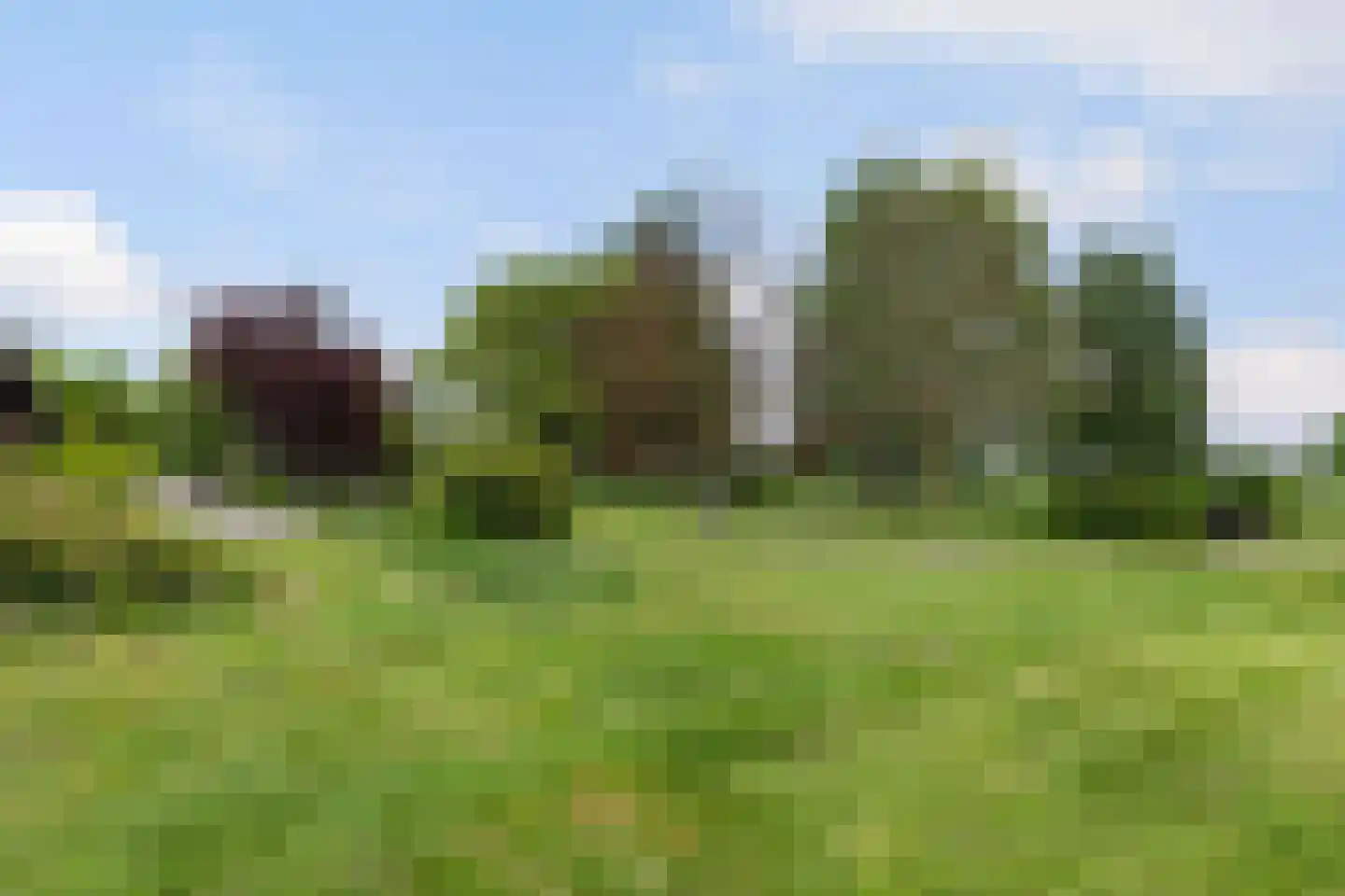 Zutphenseweg 26 Klarenbeek thumbnail 67