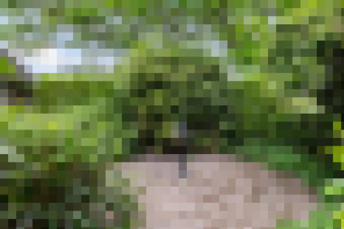 Zutphenseweg 26 Klarenbeek thumbnail 71