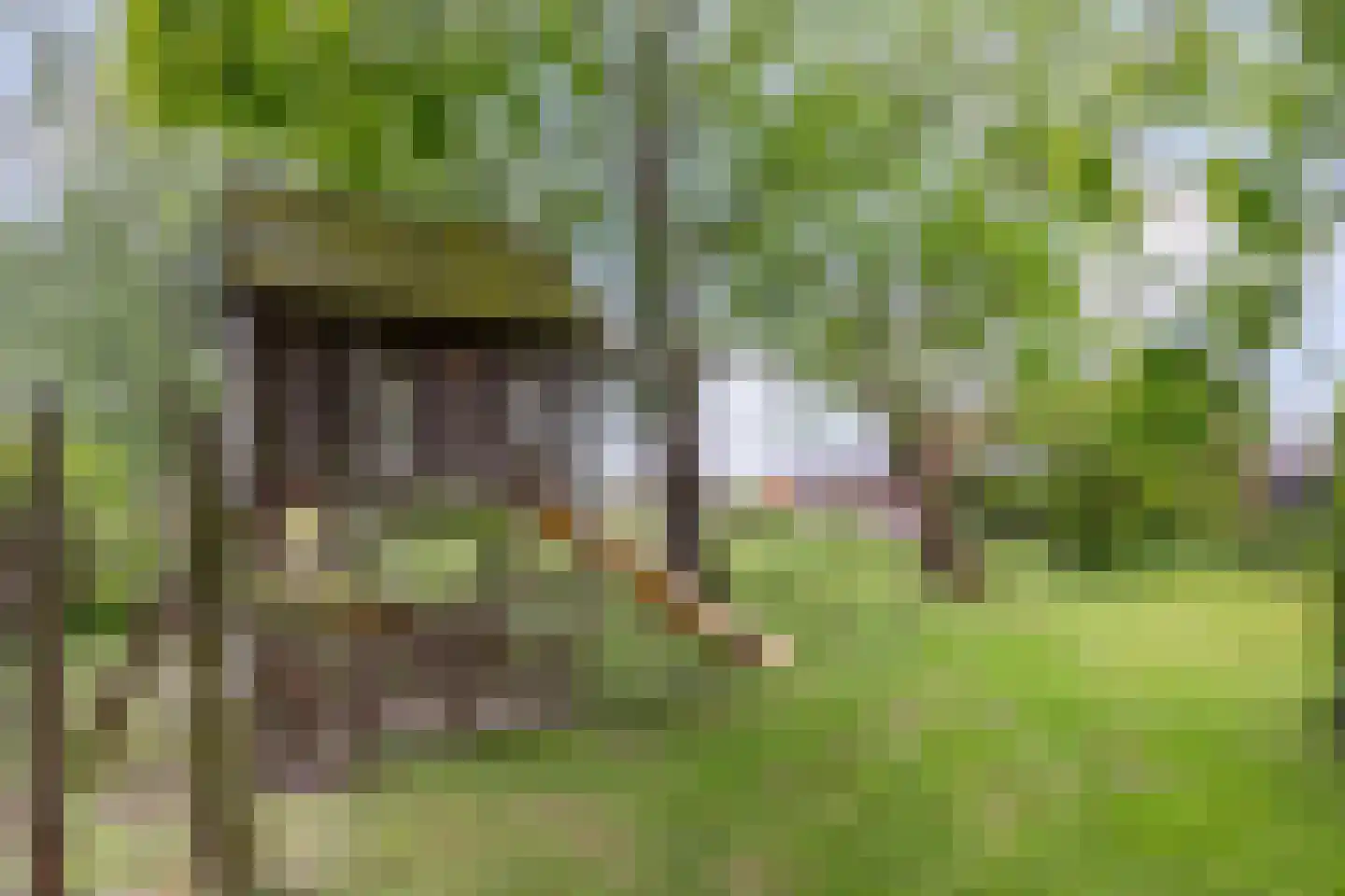 Zutphenseweg 26 Klarenbeek thumbnail 72