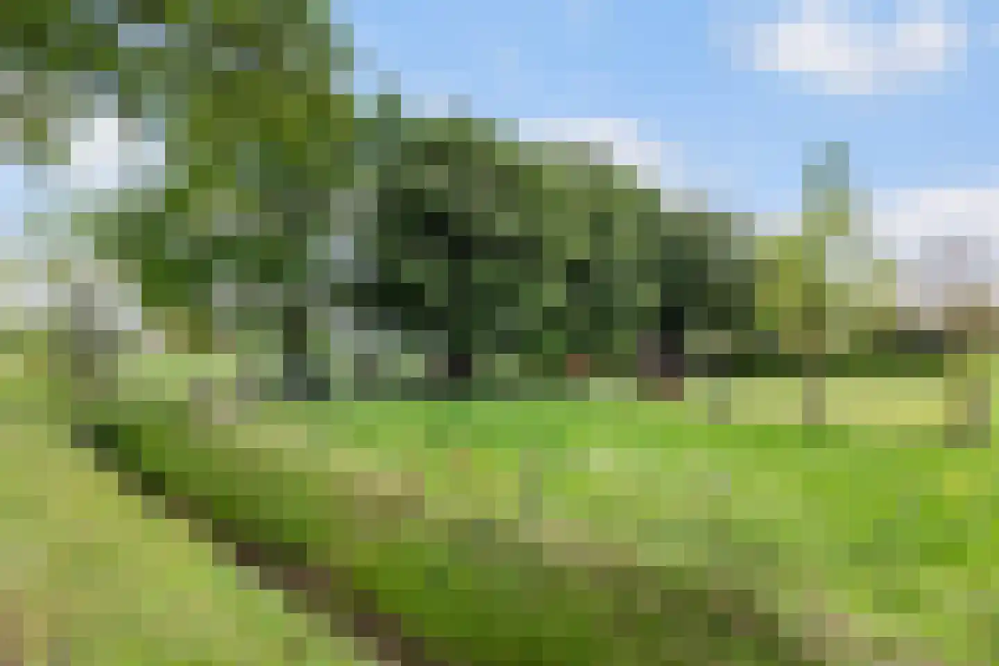 Zutphenseweg 26 Klarenbeek thumbnail 73