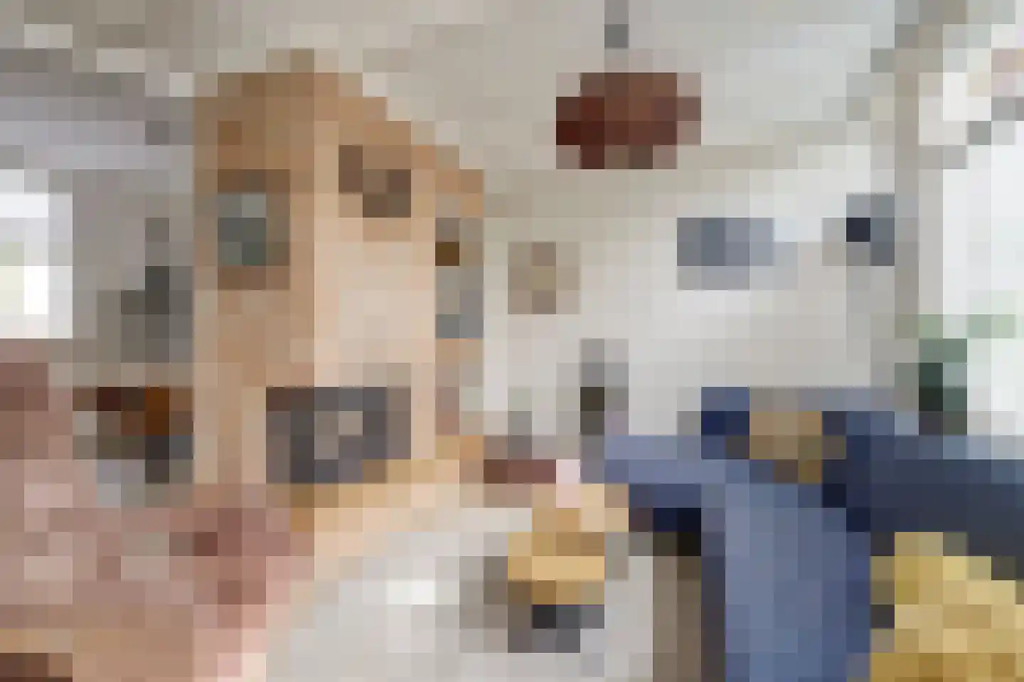 Zutphenseweg 34 Lochem thumbnail 5