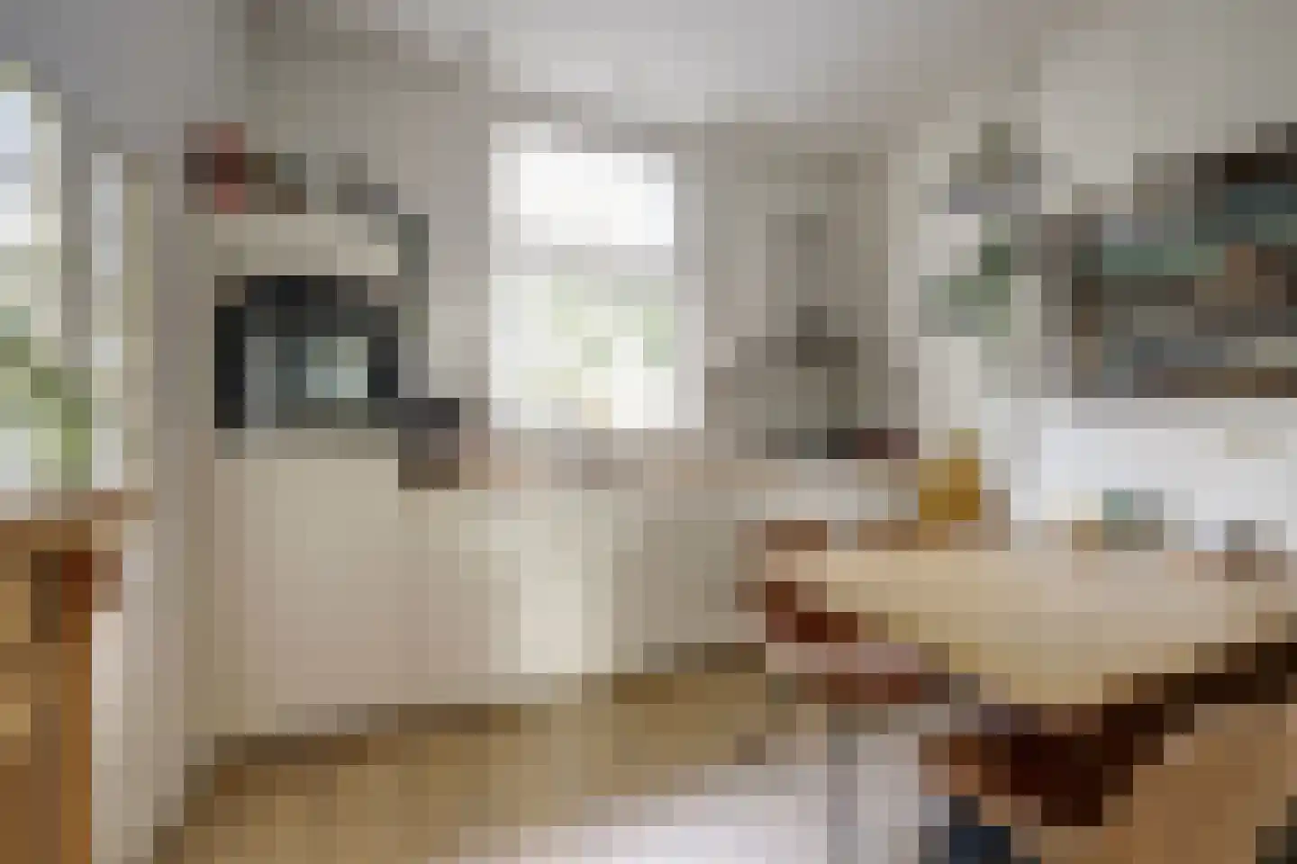 Zutphenseweg 34 Lochem thumbnail 9