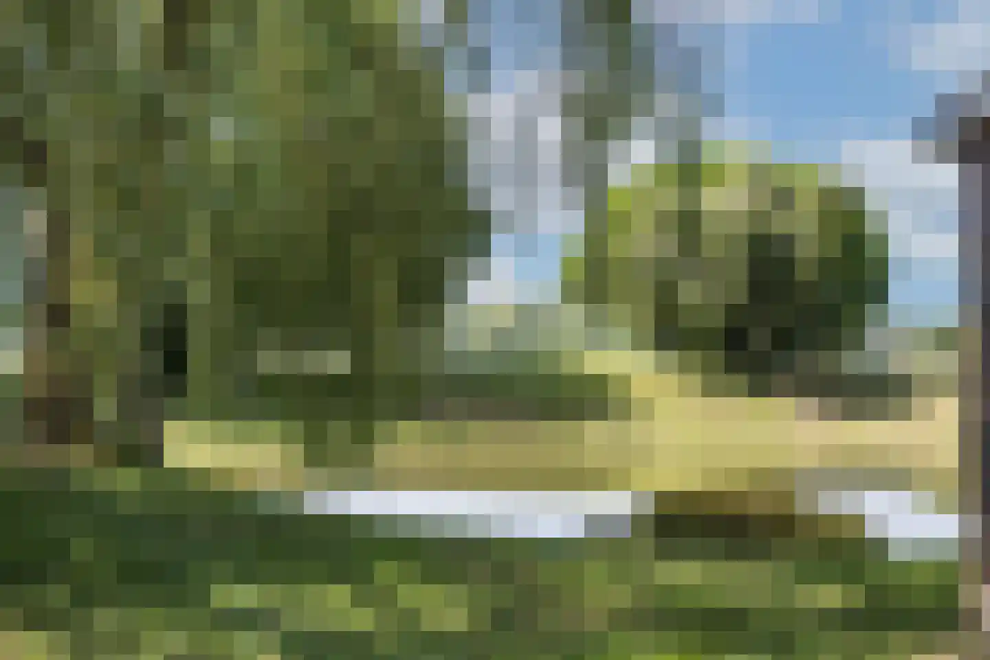 Zutphenseweg 37 a Laren thumbnail 42