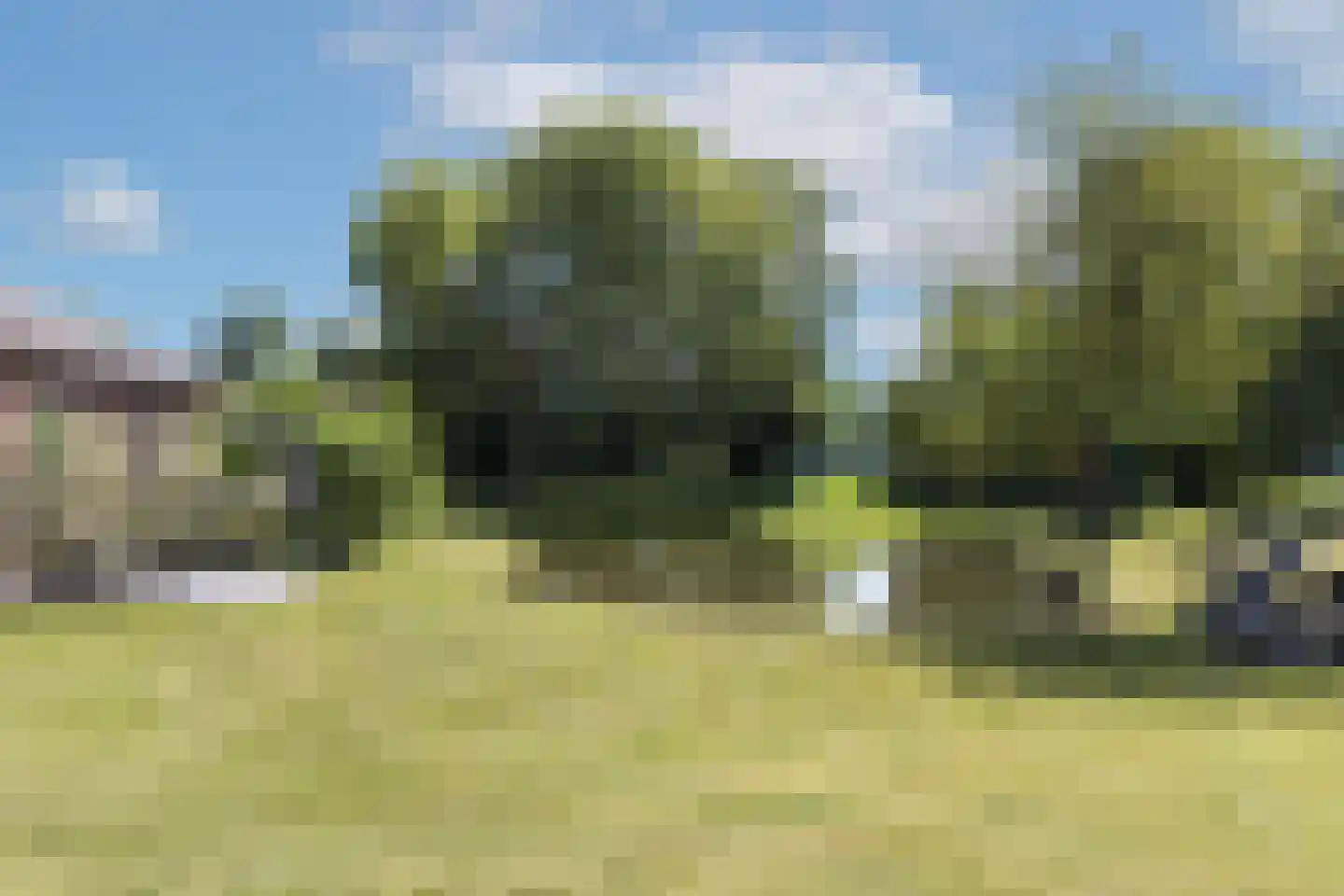 Zutphenseweg 37 a Laren thumbnail 47