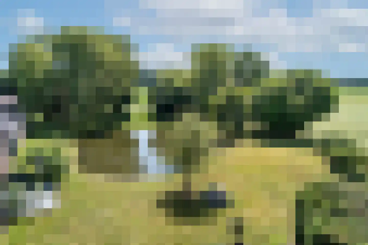 Zutphenseweg 37 a Laren thumbnail 48