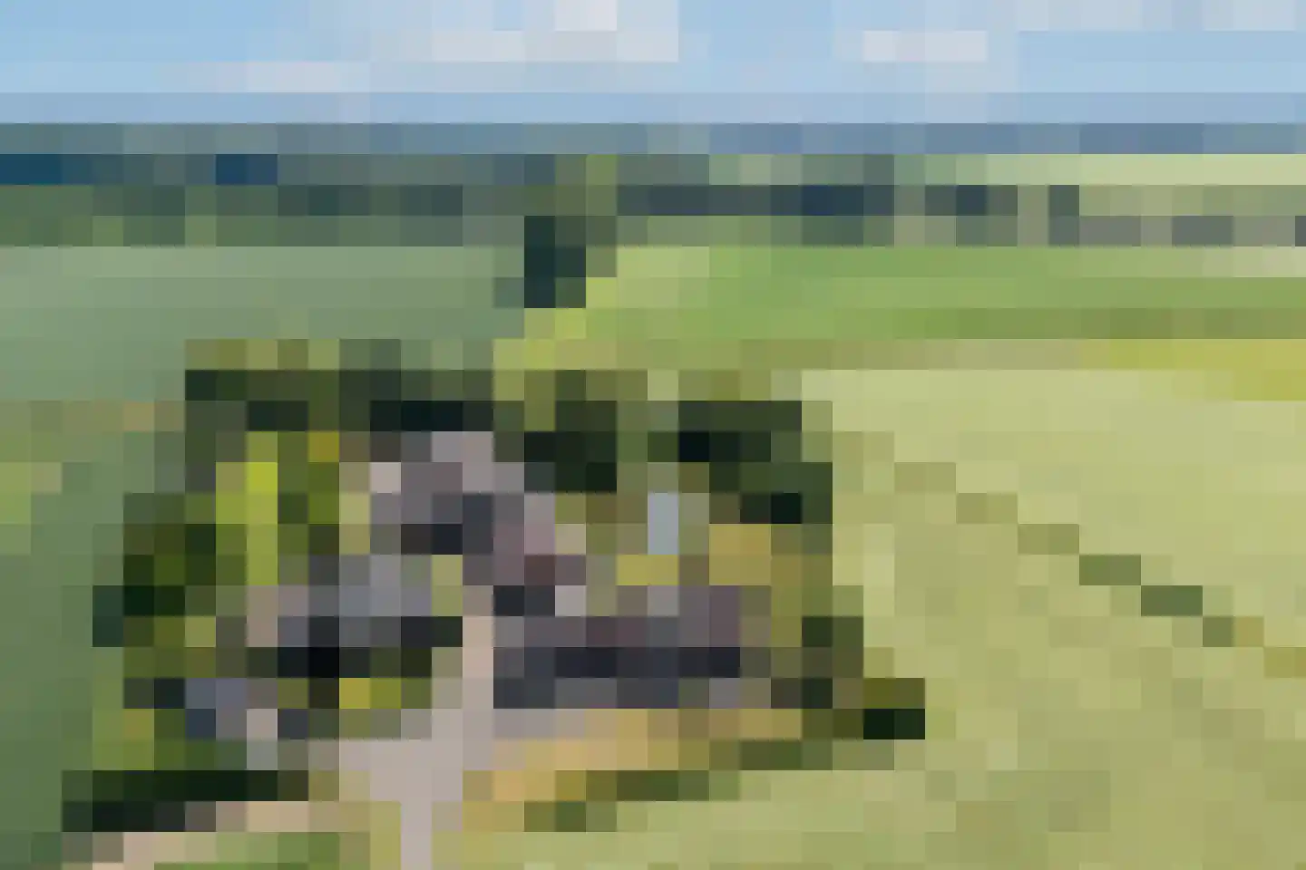 Zutphenseweg 37 a Laren thumbnail 55