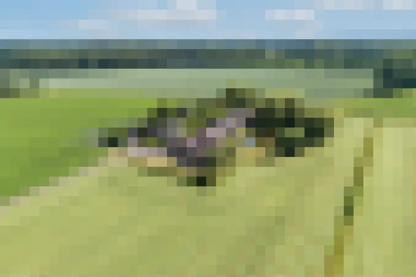 Zutphenseweg 37 a Laren thumbnail 56