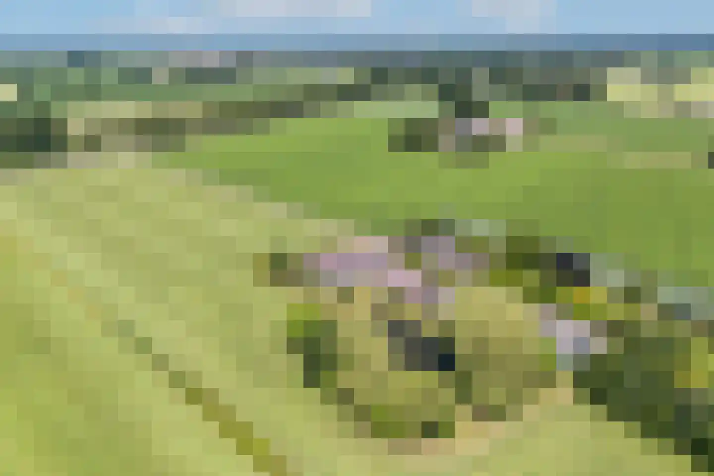 Zutphenseweg 37 a Laren thumbnail 57