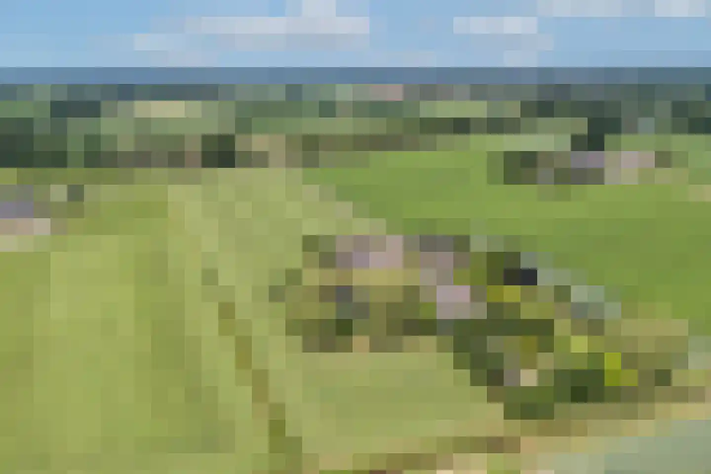 Zutphenseweg 37 a Laren thumbnail 58