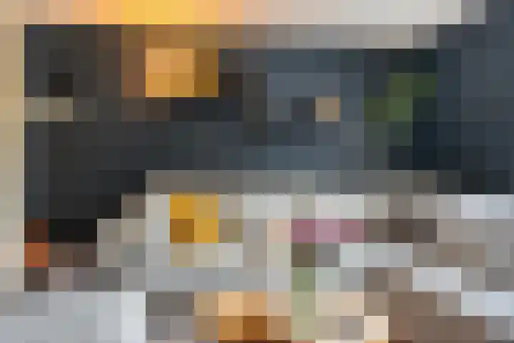 Zutphenseweg 48 Eefde thumbnail 11