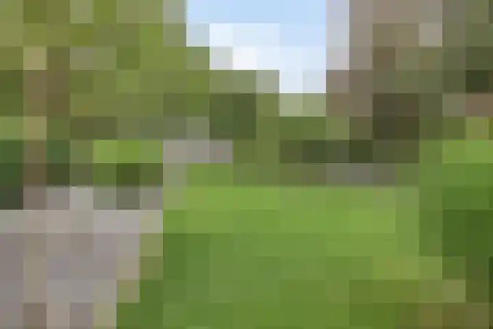 Zutphenseweg 48 Eefde thumbnail 12
