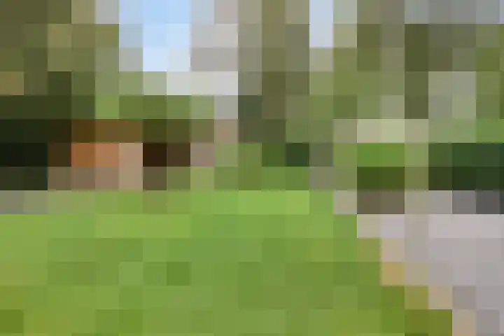 Zutphenseweg 48 Eefde thumbnail 13