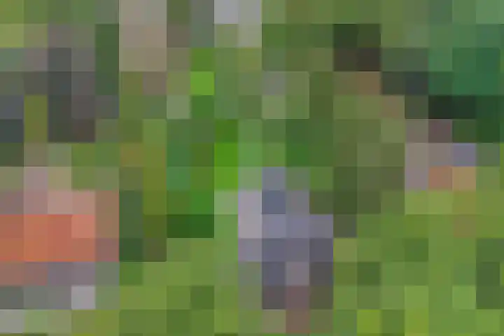 Zutphenseweg 48 Eefde thumbnail 14