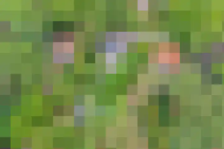 Zutphenseweg 48 Eefde thumbnail 15