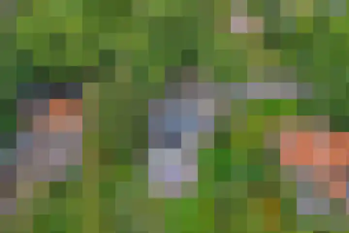 Zutphenseweg 48 Eefde thumbnail 16