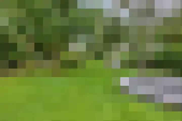 Zutphenseweg 48 Eefde thumbnail 17