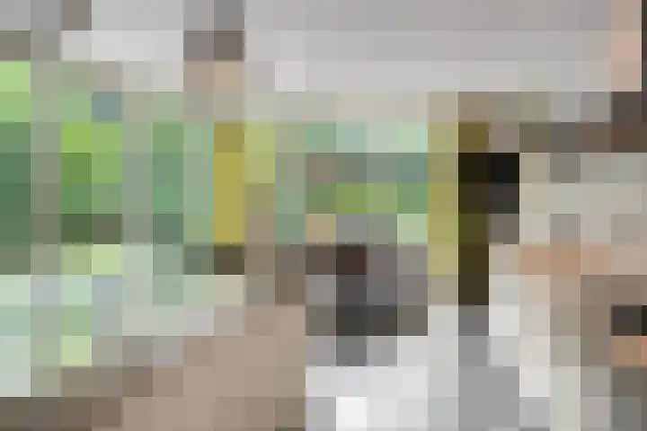 Zutphenseweg 48 Eefde thumbnail 19