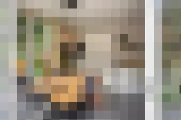 Zutphenseweg 48 Eefde thumbnail 20