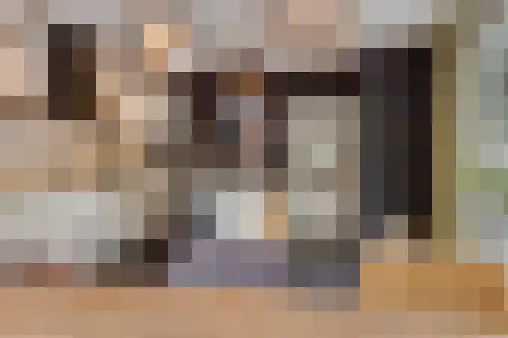Zutphenseweg 48 Eefde thumbnail 21
